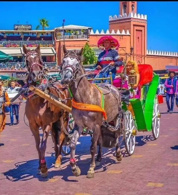Marrakech Prestigia Golf City - Beauty Appartement Marrakesh 0*,
